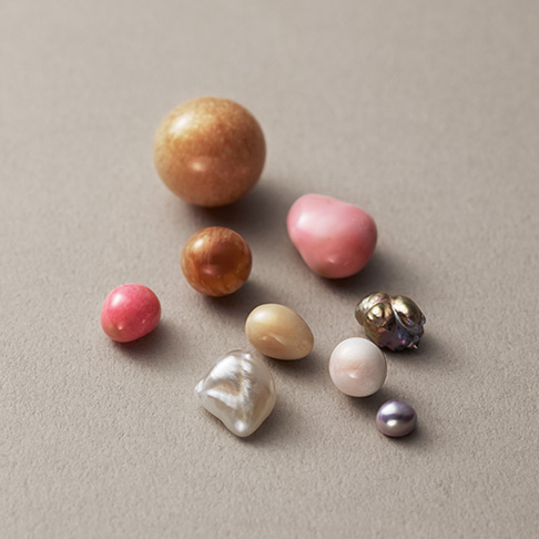 MIKIMOTO・Morse奖学金